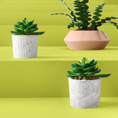 4.5'' Faux Succulent in Cement Pot