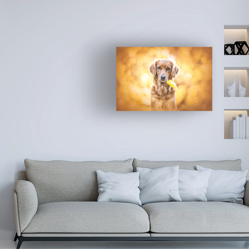 Art sur toile Natalie Grosse, H 16 po x l 24 po