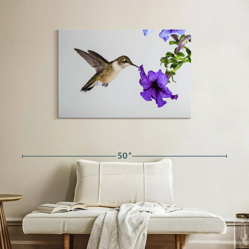 Brampt Purple Flower Hummingbird