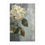 Impression sur toile «Hydrangea Bloom» par Petals Prints Design-553305975