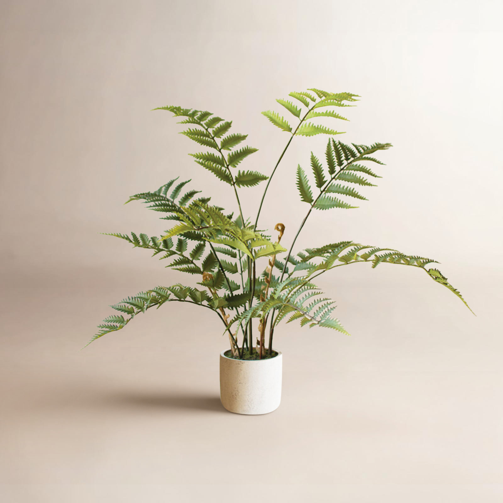 28'' Faux Fern Plant in Cement Pot