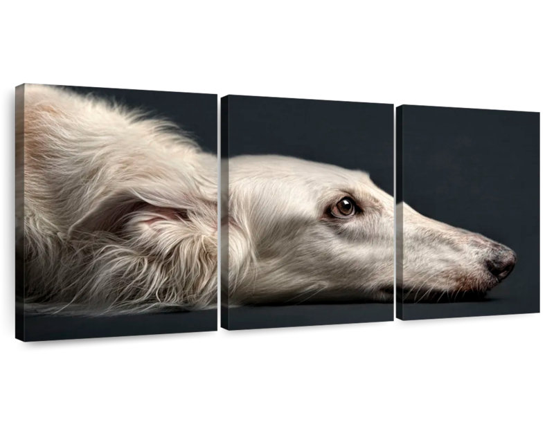 Brampt Loyal Dog, 12" H x 26" W