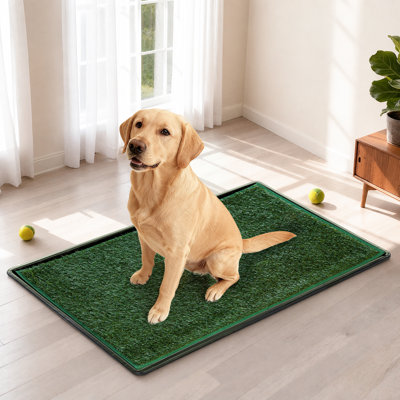 Tapis pour chien avec plateau, 2 gazons artificiels réutilisables pour les chiens en pot, litière de salle de bain pour chien portable rapidement absorbante pour la formation des animaux de compagnie, tapis imperméables antidérapants pour chiots lavab