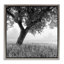 «Tuscan Morning Scenery» par Chip Forelli-1308487783-1295359909