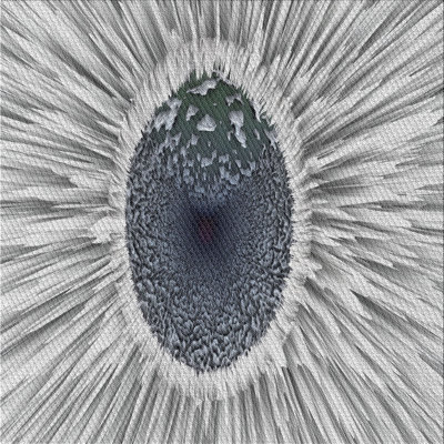 Abstract Indoor Rug
