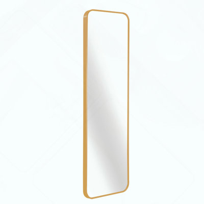 Accent Door Mirror.