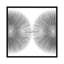 Silver Sunburst II, impression sur toile tendue-19749599-74735846-74735847