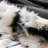 That's What An Ocelot's Tummy Looks Like Coma Inducer Faux Fur Oversized Comforter Set-59116016-59116017