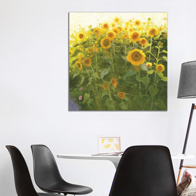 Sunflower Field 1 Piece Wrapped Canvas Painting