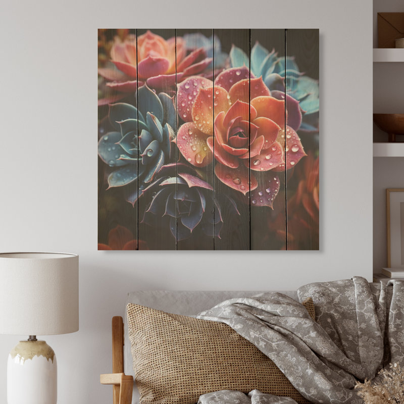Succulentes colorées «Come Alive» - Art sur bois succulent sur bois de pin naturel, H 30 po x l 30 po