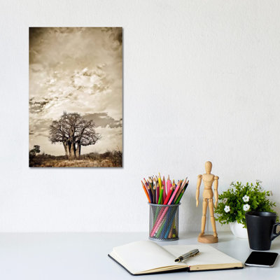 Baobab Hierarchy III 1 Piece Wrapped Canvas Wall Art