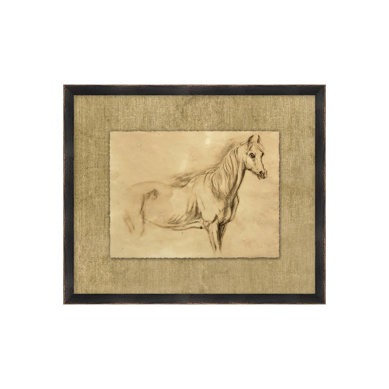 Charcoal Animal Collection 9 Print