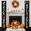 Décorations d'Halloween «Hick Pocal»