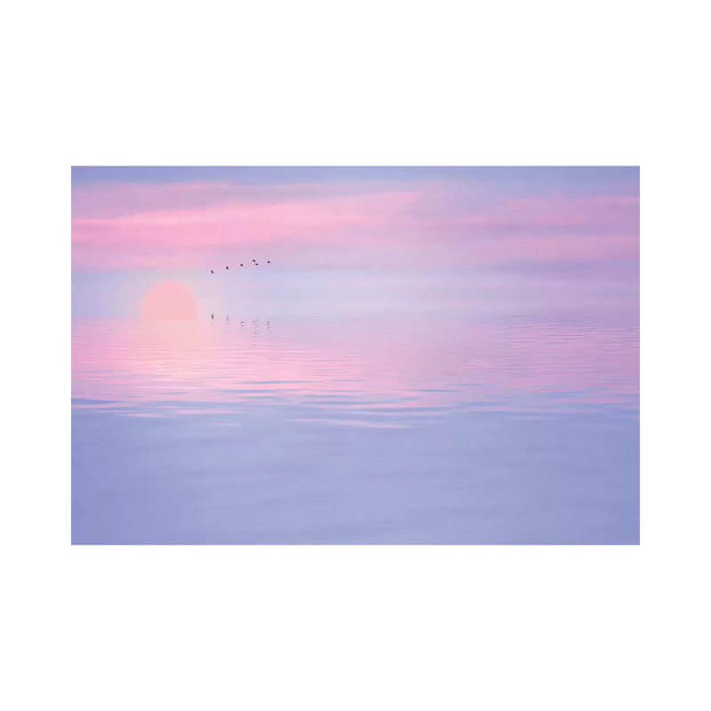 Pink Spirit by Philippe Sainte-Laudy - Print on Canvas, Wrapped Canvas, 30.48 cm H x 45.72 cm W