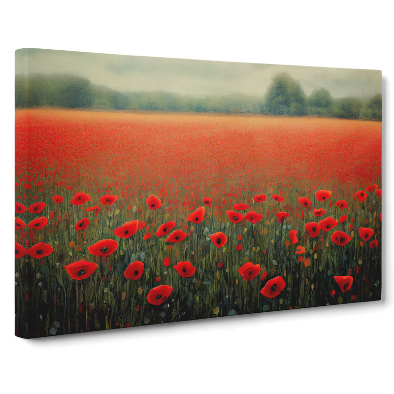 Splendid Poppies Flowers - Wrapped Canvas Print, 35cm H x 50cm W x 3cm D