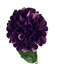 Plastic, Silk Artificial Arrangement-106401532