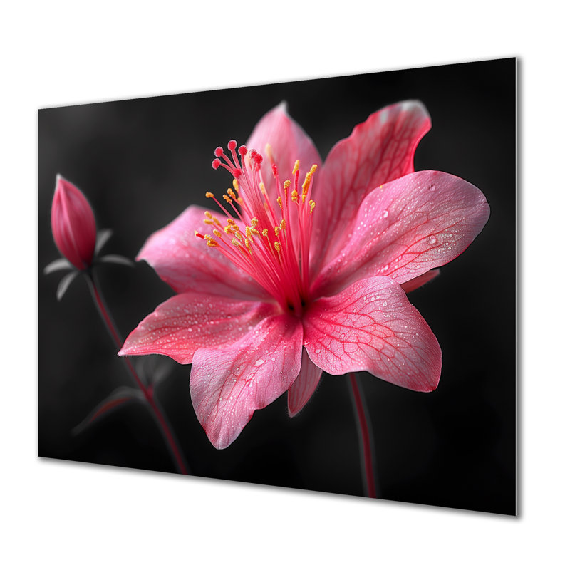 Rose, gris, élégant, simplicité, fuchsia - Fuschia, art mural, H 24 po x l 32 po, Sans cadre, métal
