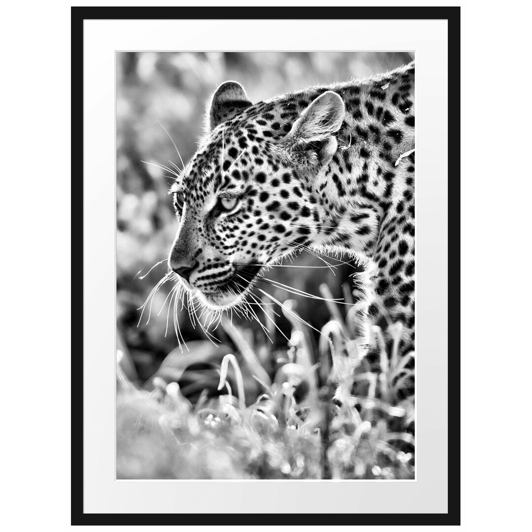 Gerahmtes Poster Jagender Leopard