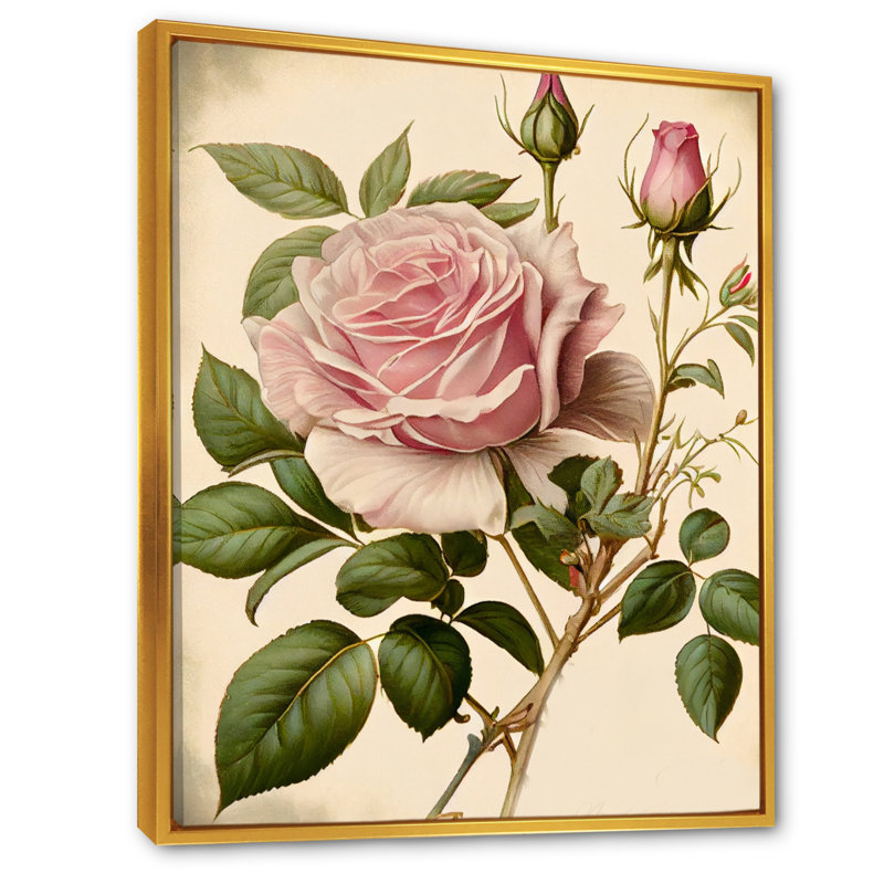 «Pink Rose on Retro Parchment IV», reproduction sur toile, H 32 po x l 16 po x P 1 po, Cadre flottant doré