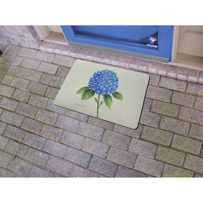 Raynette Non-Slip No Pattern Doormat