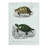 Tempered Glass Tortoise and Turtle Illustrations PL. 1 by Charles D' Orbigny Chopping Board-55369312