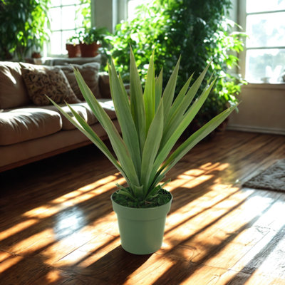 24'' Faux Yucca Succulent in Planter