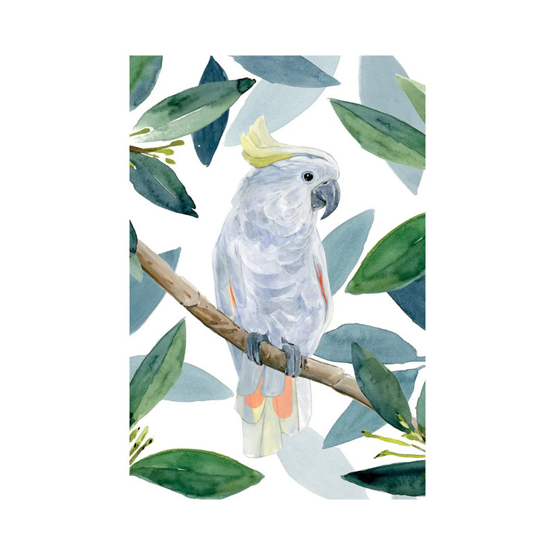 Cockatoo Perch I by Annie Warren - Wrapped Canvas Print, 20.32 cm H x 30.48 cm W