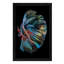 The Betta Fish by Andi Halil - Print on Canvas-1297969562-1257038030