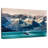 Alvord Alaskan Whale Backflip-107696422