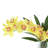 Orchid Arrangement in Mirror Vase-142123709