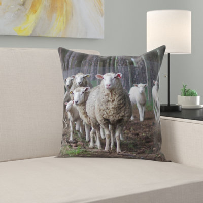 Microsuede Throw Pillow