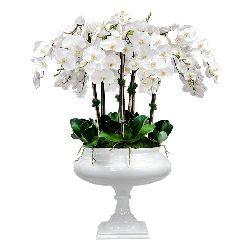 Orchidée dans un poteau romain