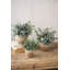  Plantes d'eucalyptus artificiels en pots tissés - Faux verdure décorative, ensemble de trois