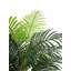 Palmier artificiel-1592923293