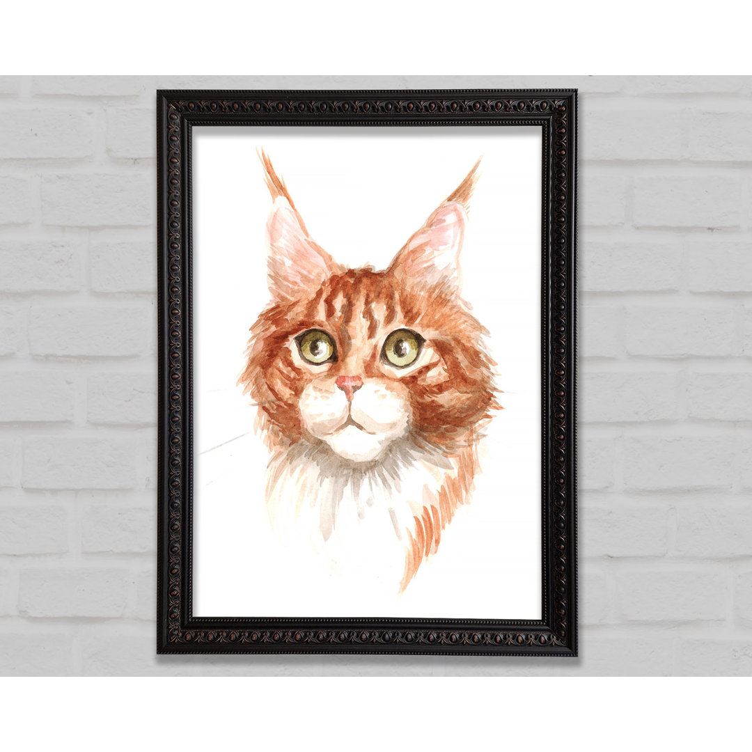 Ginger Tom Cat - Einzelne Bilderrahmen Kunstdrucke