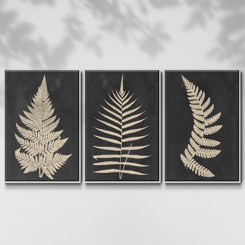 Linen Fern I - ensemble de 3 reproductions sur toile, Blanc, H 36 po x l 72 po x P 2 po