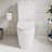 Lamarck Two-Piece Elongated Toilet Dual-Flush 1.1/1.6 Gpf