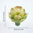 6Pcs Green Large Faux Artichokes for Decoration Bowl Fillers Fake Fruit Artificial Artichokes That Look Real Realistic Fake Vegetable Decor for Home Kitchen Table Party Centerpiece-603697342