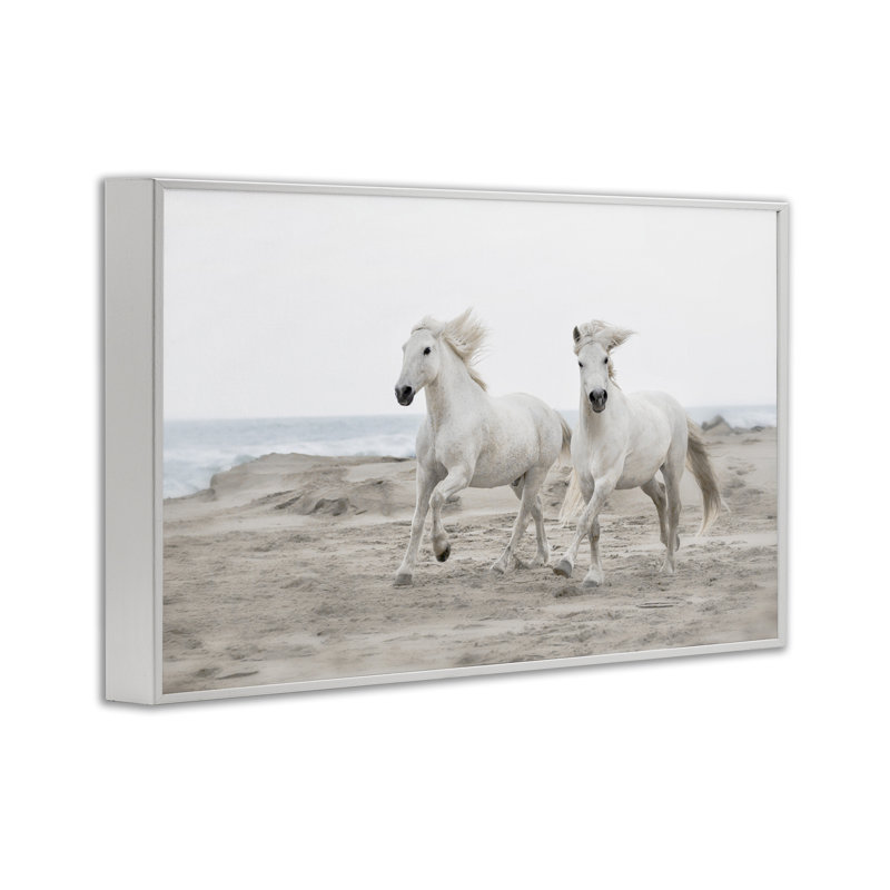 Giclée encadrée, dessin par Danita Delimont, H 12 po x l 18 po, Estampe numérique encadrée blanc bord de mer