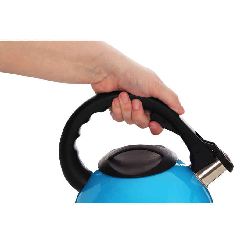 Symple Stuff 2.5L Stainless Steel Whistling Stovetop Tea Kettle, Blue