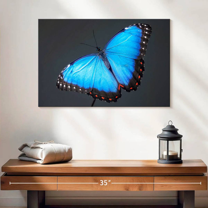 Brampt Blue Morpho Butterfly, 16" H x 24" W