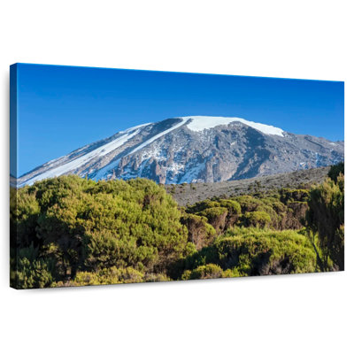Snowcapped Mt Kilimanjaro