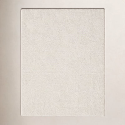 Ivory Shag Rug