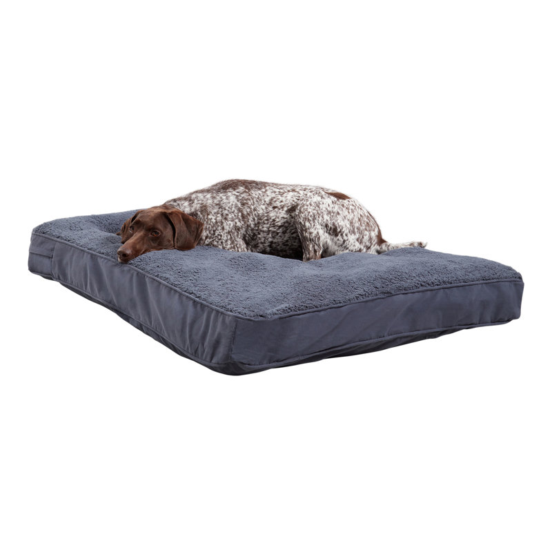 Lit pour chien avec coussin de soutien, Grand (l 48 po x P 36 po x H 4 po), Acier bleu