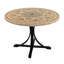 Montpellier Garden Stone Mosaic Table