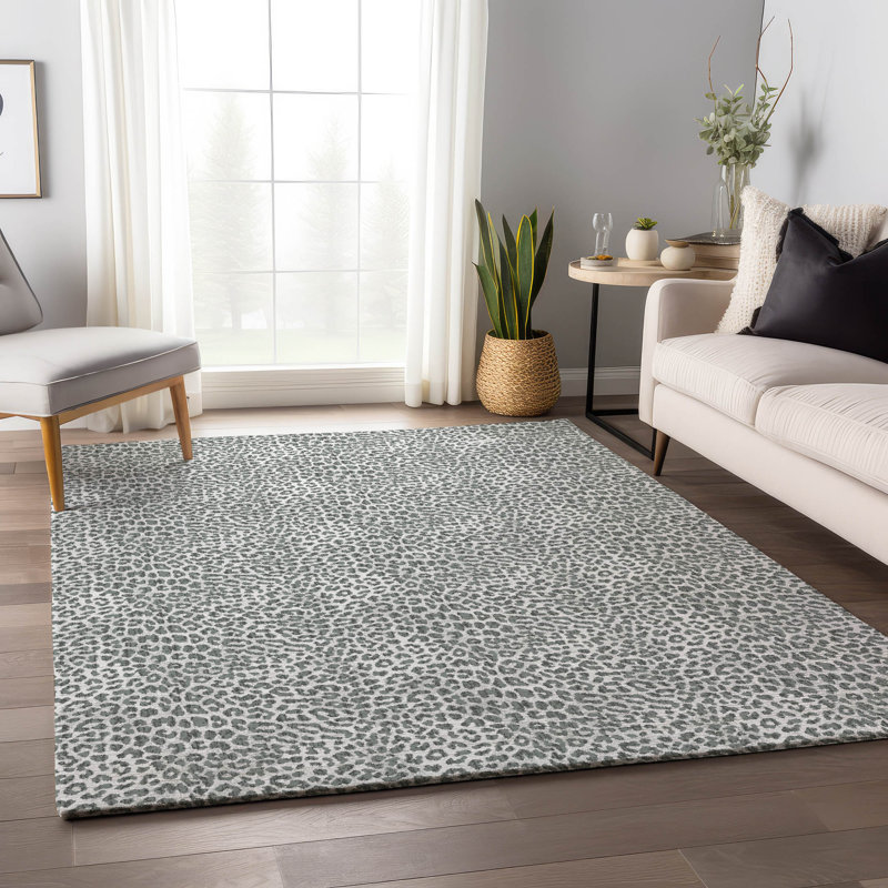 Premium Machine Washable Kishonna AMF43 Gray Rug, Rectangle 2'6" x 3'10"