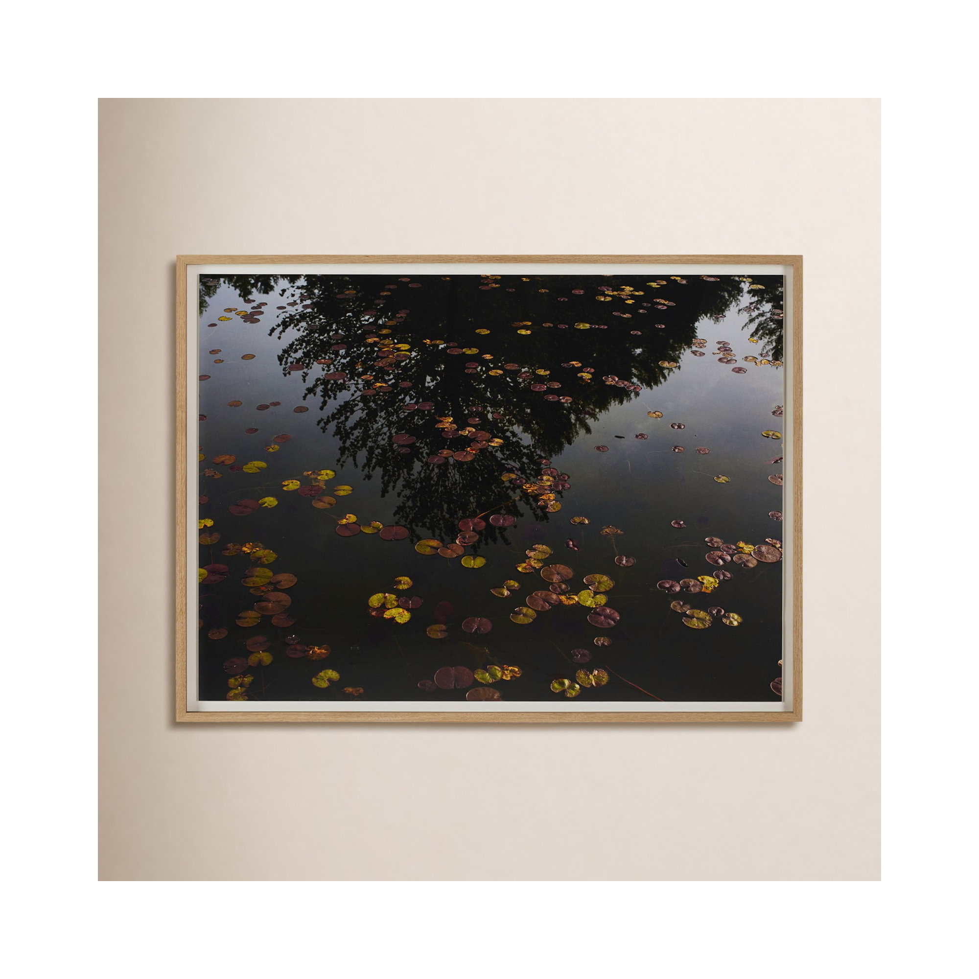 Echo by Shade Degges, 36" H x 48" W