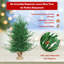 Arbre de noël artificiel pin 3 pi
