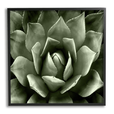 «Succulent Plant Close Up View» encadré sur bois par Lindsay Benson, peinture