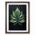 Walnut Framed selected